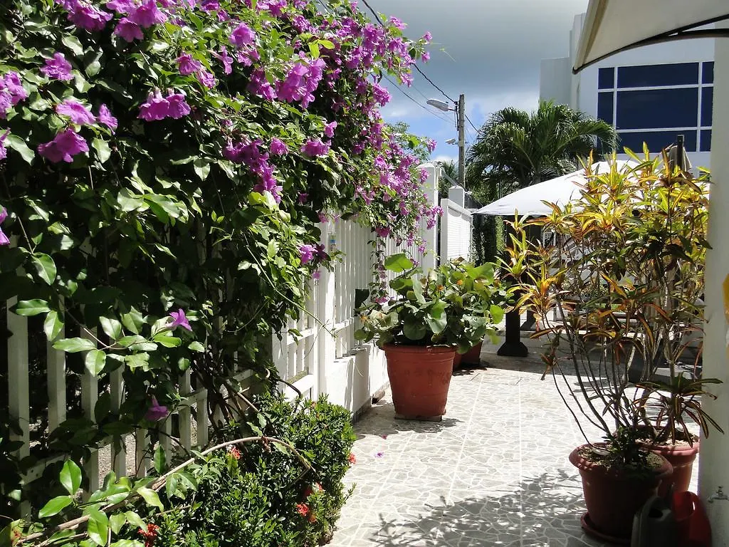 Casa Loft Guest House San Andres